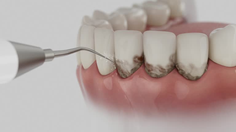 Reliable Dental contractor in Elizabeth City, NC by Dentist Open Now